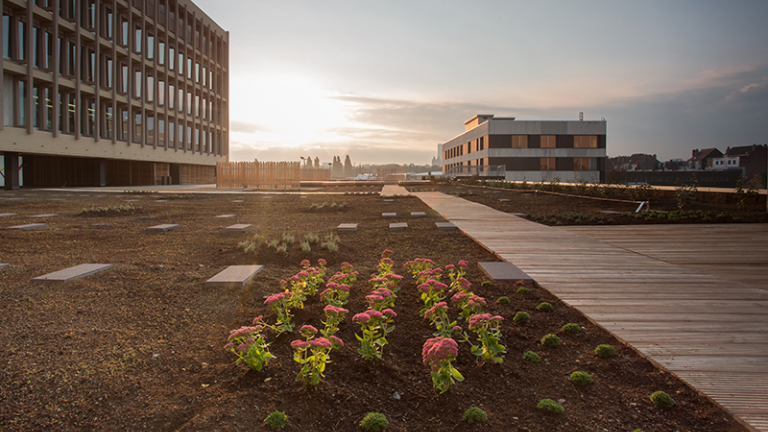 Sibelga - Aménagement extérieur